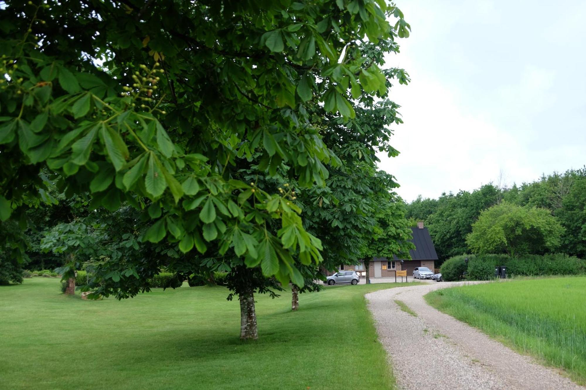 Billund Rooms Экстерьер фото